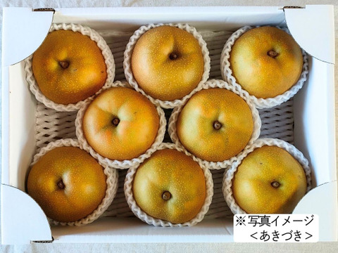 ＜セール＞【樹上完熟梨】『なつしずく』爽やかな香と味　２㎏以上