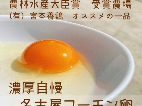 卵黄トロ～リ！濃厚自慢の名古屋コーチンのたまご36個入‼