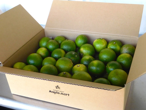 【残り僅か！】大分県特産「かぼす」5kg（小さいものやキズ等で見た目が良く無い物も含む無選別品）