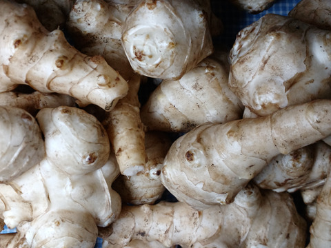 お得なセット!7000円相当自然栽培果樹園の訳ありゴールドキウイと葉野菜１キロとキクイモ2キロと美味しい野草3種とハーブ3種のセット、平飼い卵2個付き　年末セール特価サービス