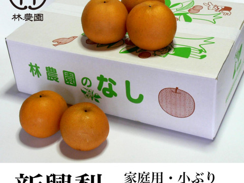 【小ぶり】酸味と甘みのハーモニー  新興梨 家庭用  約5kg(18玉)