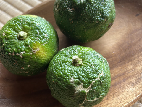 訳あり！ 豊田市旭産 『青柚子』4kg 加工用