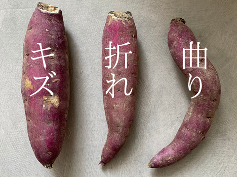 有機JAS認証 B品 訳あり さつまいも 追熟完了 紅はるか 青森県 2.5キロ