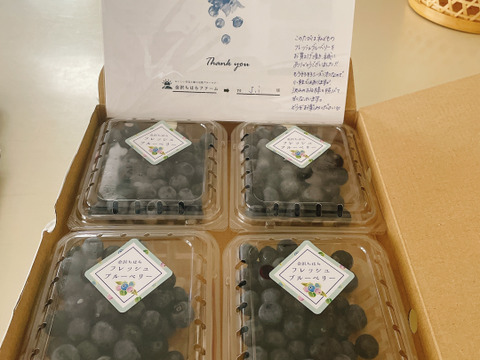【贈答用】【生食用】おいしい空気で育った樹上完熟～中粒～ブルーベリー＜恵＞125ｇ×4