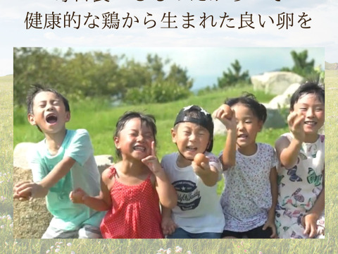 とろ～りコク旨！静岡の自然の恵みがギュッと詰まった新鮮たまご『富士の名月』【10個入×2PC】