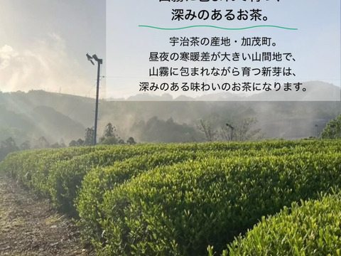 【2026年新茶飲み比べ】深蒸しかぶせ茶80g・特上煎茶100g・特上玄米茶150g　農薬・化学肥料・除草剤・畜産堆肥不使用　宇治茶100%　2026年産