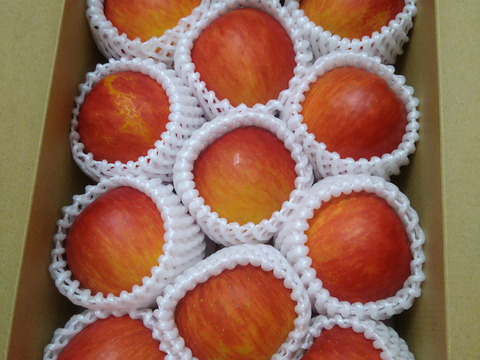 まるごとガブリっ！奥州ロマン☆小玉・食べきりサイズりんご ・サビあり【岩手江刺産】2㎏