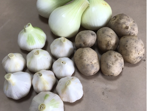 【自然栽培】新じゃが・新にんにく・玉ねぎセット