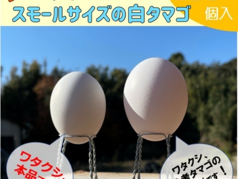 小さいだけの格外品‼　若鶏の白タマゴ×130個(^^)/