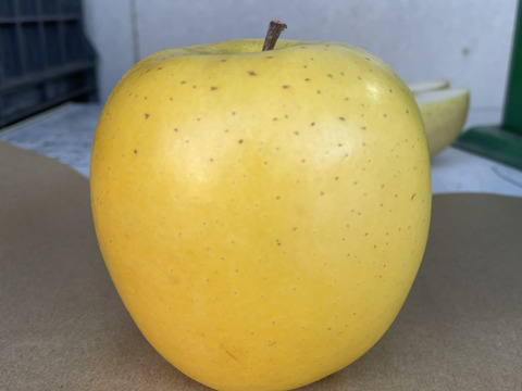 さっぱり系りんご シナノゴールド (B品りんご２㎏)