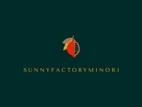 買うなら今でしょ！【ご家庭用】シャインマスカット2㎏セット