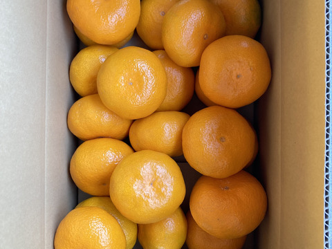 大きな3L以上サイズ　4㎏（中生、晩生）家庭用　瀬戸内の恵み　山口岩国みかん　山口のフレッシュなお味のみかんをお届けします！