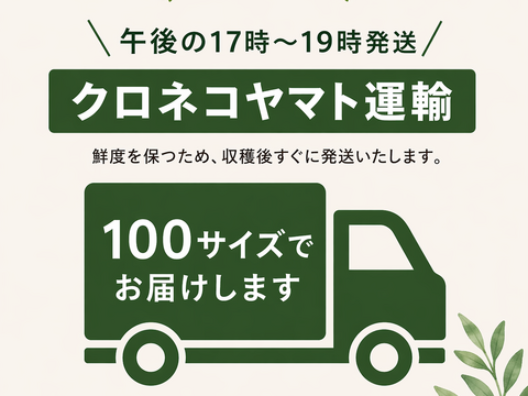 いろんな農家の旬野菜食べ比べBOX