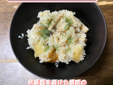 ※20袋限定！【淡路島産】島の恵みが育んだ極上コシヒカリ（令和7年度産）/５kg