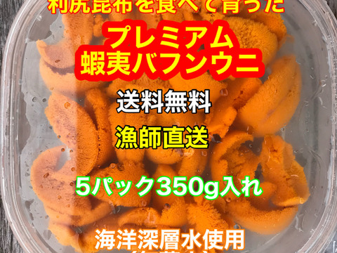 （実質送料無料）極上プレミアム蝦夷バフンウニ（北海道利尻島産）5パック 350g
