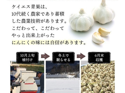 【冷蔵】青森県産むきにんにく （ホワイト六片種）1kg×2パック 大・中・小混合