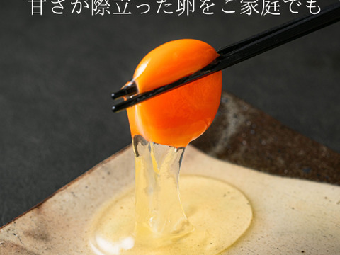 黄身が甘い！富士山麓の放し飼い卵『福が、きた』【10個入×2PC】