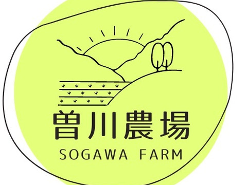 ほくほく！煮崩れにくく調理◎北海道産じゃがいも　とうや　Lサイズ10kg