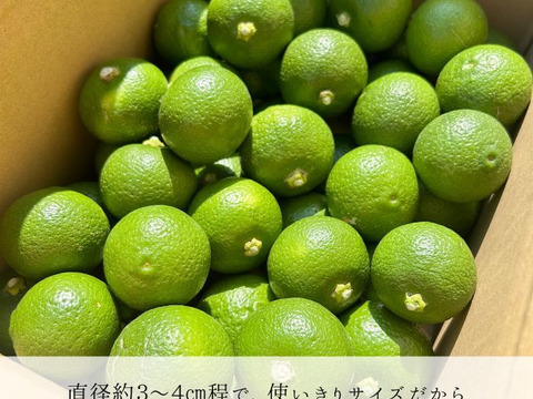 小さくて使いやすい！種無し小玉かぼす2kg（約40～60個）