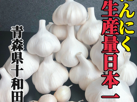 【訳アリ🉐】まるでお芋！あまくておいしいと大好評✨日本一の青森ミネラルにんにく1.5キロ