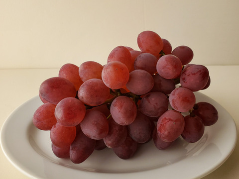 岩手県岩手県産 サニールージュ（種なし）2房入 BOX