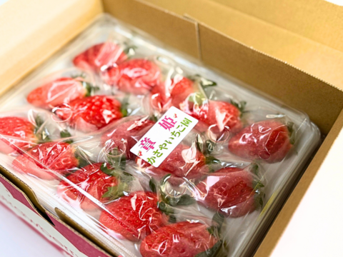 今シーズン初いちご！いちご博銀賞受賞！驚く甘さの三田産章姫、箱入り　（30粒入り）