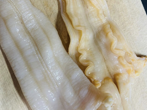 【日間賀島漁師直送】今が旬 高級貝 【白ミル貝】2kg 活かし発送❗️
刺身、バター焼き、フングリの煮付けにオススメ