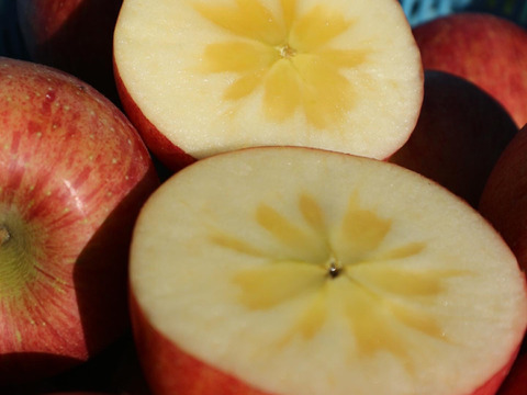 さんフジ 山形 朝日町産 贈答用 りんご 約5kg 18か20個入り リンゴ