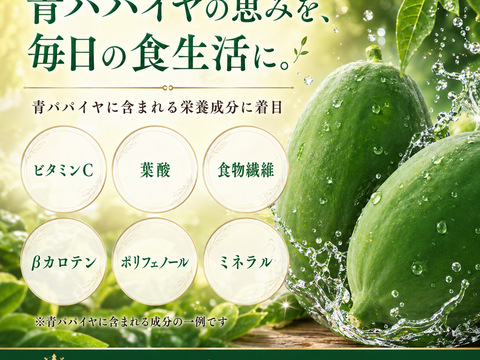 【お得】パパイア王子 宮崎グリーンパパイア バターチキンカレー 200g×4個 レンジ調理対応 酵素 レトルトカレー 青パパイヤ スーパーフード 酵素 日本産 ポリフェノール パパイヤ