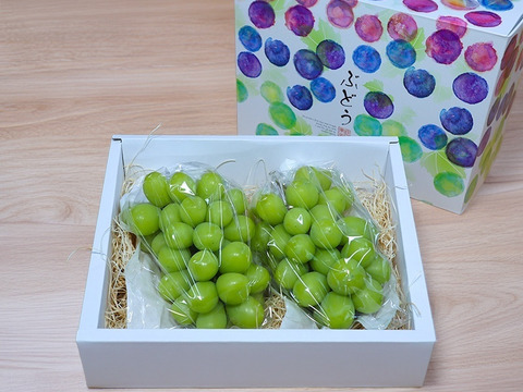 【贈答用】温室栽培シャインマスカット　2房（1.1Kｇ以上）