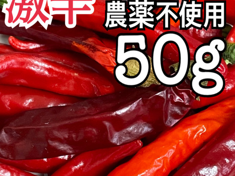 岡山県産の新鮮赤唐辛子50g