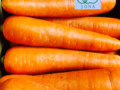 農薬・化学肥料不使用！今が旬‼️A品2Lサイズ10kg