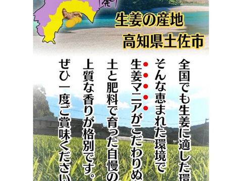 土佐の大生姜　高知県産　生姜　2㎏