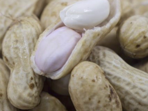 2〜4名様向け野菜セット／旬の野菜7種