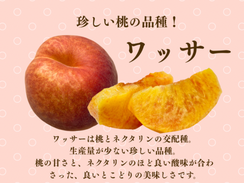 🍑レア桃🍑ワッサー（約2kg/8-11玉入り）夏ギフト・贈答用に