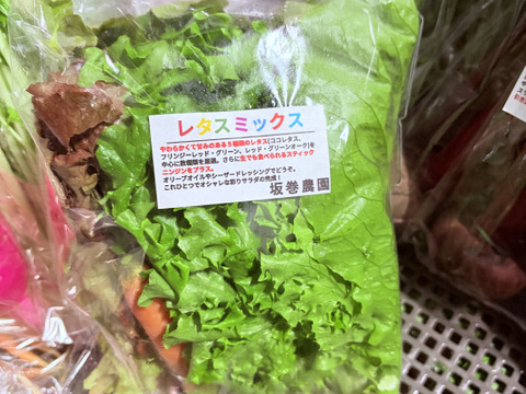 旬の野菜セット！ 大和ルージュ　2本入り
80サイズの箱に7種から10種類程度のお野菜詰め合わせ