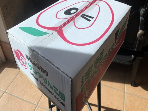 サンふじ＆王林　家庭用　約３キロ　クリスマスカラーの詰合せをサンタりんご園よりお届け