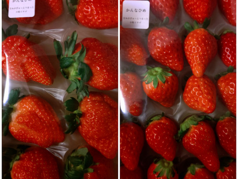 甘くて酸味が少ない！かんなひめ2P　お得なご家庭用！　230g×2p