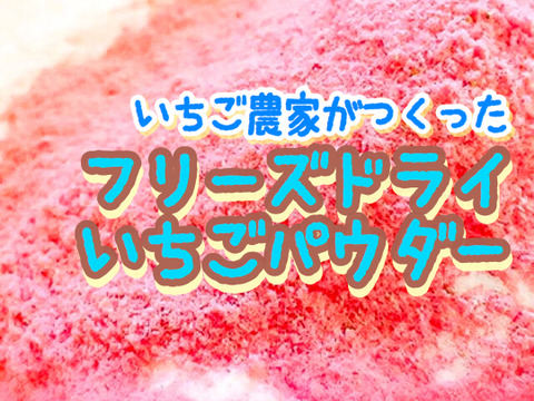 【定形外郵便送料込】国産フリーズドライいちご２種セット(固形20g&粉末50g×各1袋)