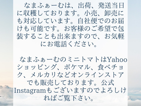 【夏ギフト・お中元】赤い宝石のような　赤色プチぷよ（ミニトマト）特選　170g×6p