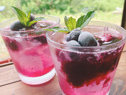 【大鹿村産農薬不使用】加工用ブルーベリー（1kg）