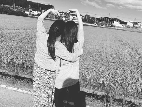 令和6年度産　10月中旬発送　減農栽培ヒノリカリ（へアリーベッジ米）　※4.5kg精米