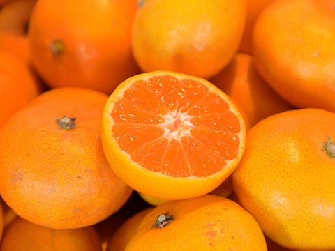 【12/4まで特別価格】有田みかん5kg (ミックスサイズ 2S～3L)  家庭用(訳あり品) やまきずくん 和歌山 311-9