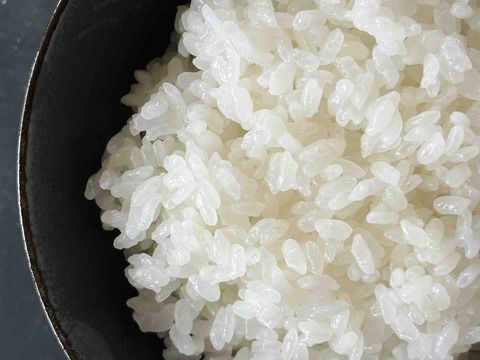 【令和7年産新米】特別栽培米コシヒカリ（白米）5kg 　石川県産