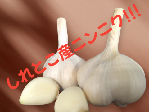 【初めての栽培】令和６年新物 250g～!! 北海道しれとこ産　にんにく