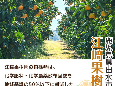 【夏ギフト】無着色・無香料で素材の風味・安心安全！河内晩柑飲むゼリー(150g×6個)