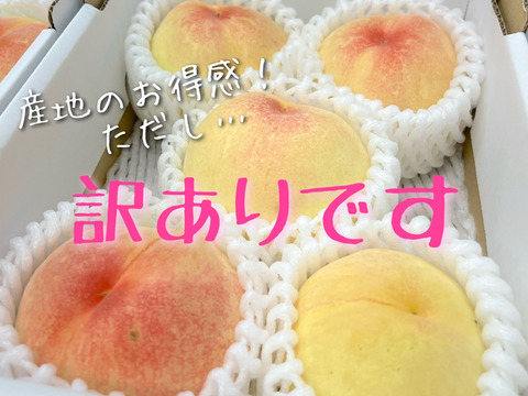 【訳あり品】岡山の桃　小箱４～６玉