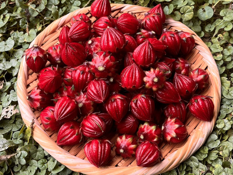 ローゼルの実 500g