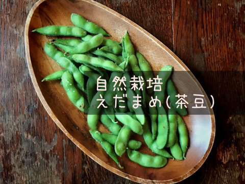 自然栽培 枝豆 茶豆 サヤのみ2kg 農薬 肥料不使用 茶大豆えだまめ 兵庫県産の豆類 食べチョク 産地直送 産直 お取り寄せ通販 農家 漁師から旬の食材を直送