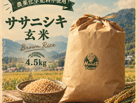 栽培期間中農薬不使用!! 京丹後産『ササニシキ』玄米4.5kg：京都府産の